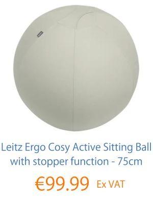 Leitz Active Sitting Ball - Grey